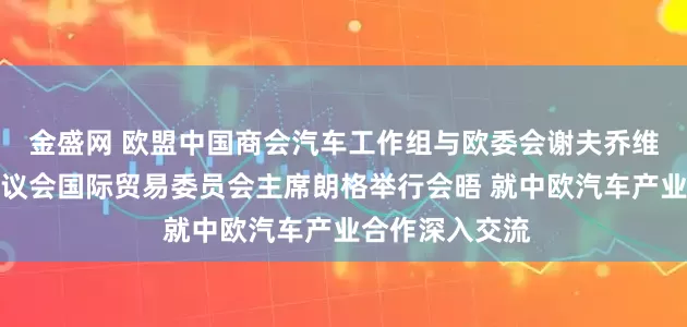金盛网 欧盟中国商会汽车工作组与欧委会谢夫乔维奇内阁及欧洲议会国际贸易委员会主席朗格举行会晤 就中欧汽车产业合作深入交流