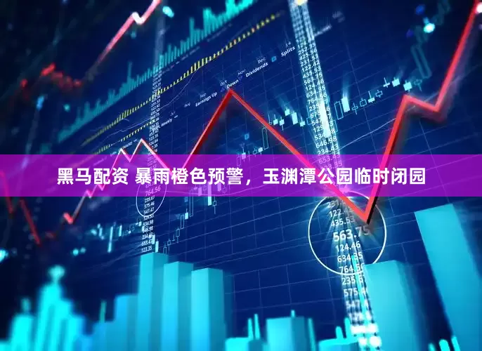 黑马配资 暴雨橙色预警，玉渊潭公园临时闭园