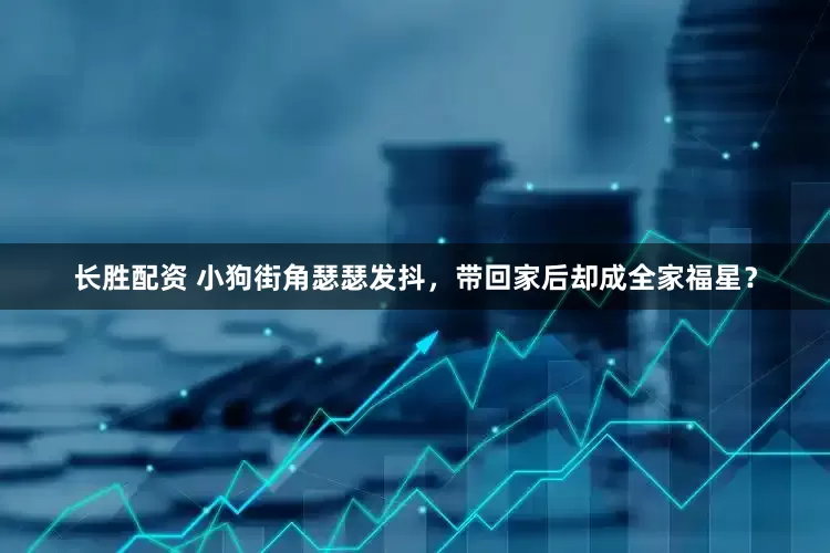 长胜配资 小狗街角瑟瑟发抖，带回家后却成全家福星？
