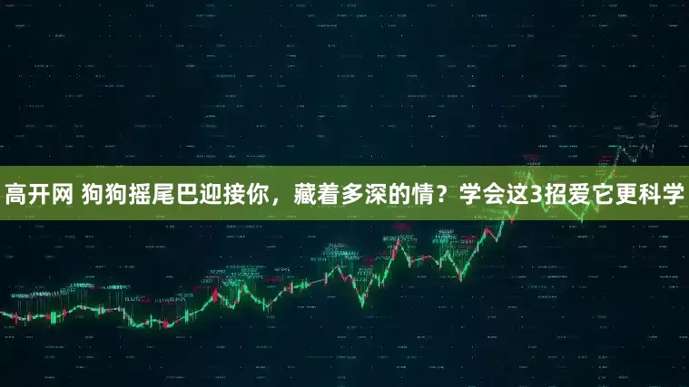 高开网 狗狗摇尾巴迎接你，藏着多深的情？学会这3招爱它更科学