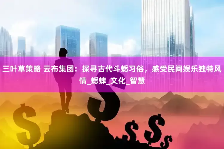 三叶草策略 云布集团：探寻古代斗蟋习俗，感受民间娱乐独特风情_蟋蟀_文化_智慧